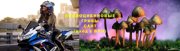 spice Алзамай