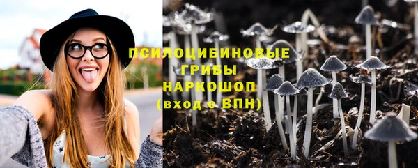 spice Алзамай