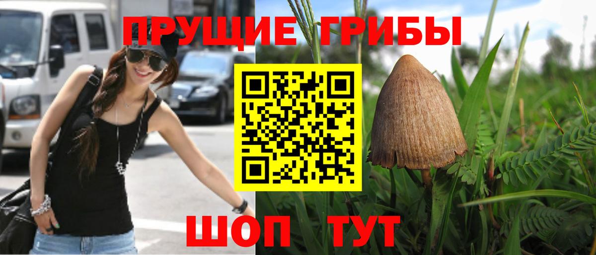 Конопля Кропоткин