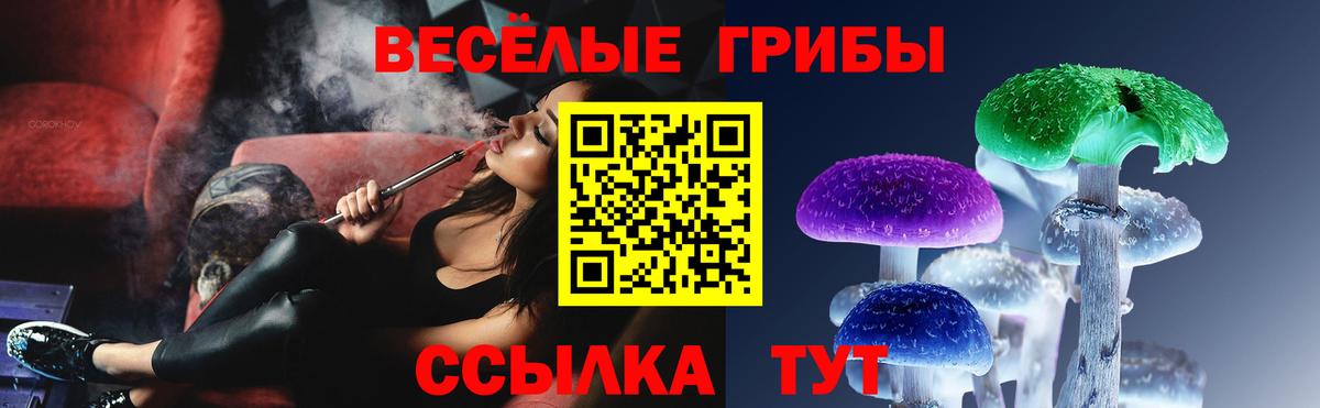Псилоцибиновые грибы Psilocybe  Вход с VPN  Кропоткин 