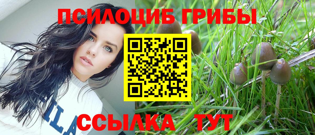 Галлюциногенные грибы Magic Shrooms Кропоткин
